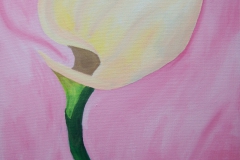 Calla