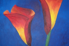 Callas