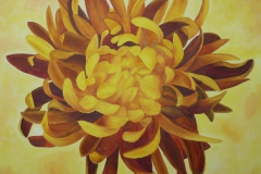 Chrysantheme