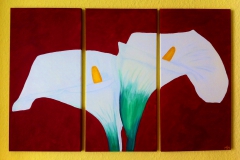 Dreiteilige Callas auf Rot