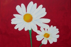 Margeriten