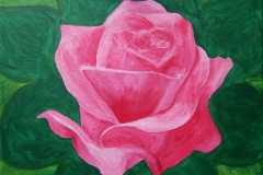 Rose2