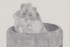 Jerry